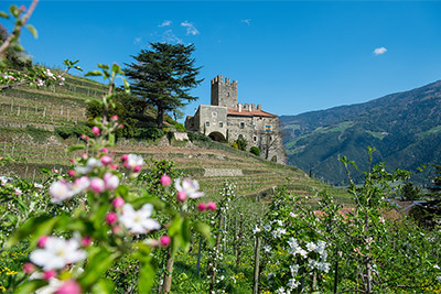 Schloss Hochnaturns